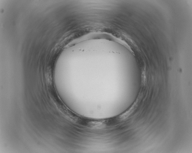 X0000070360170200607072112