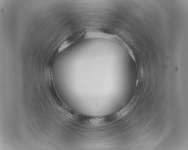 X0000070360172200607072112