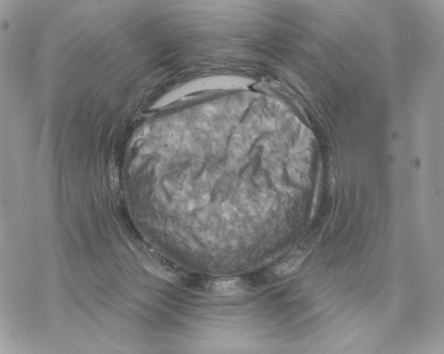 X0000070360173200607072112