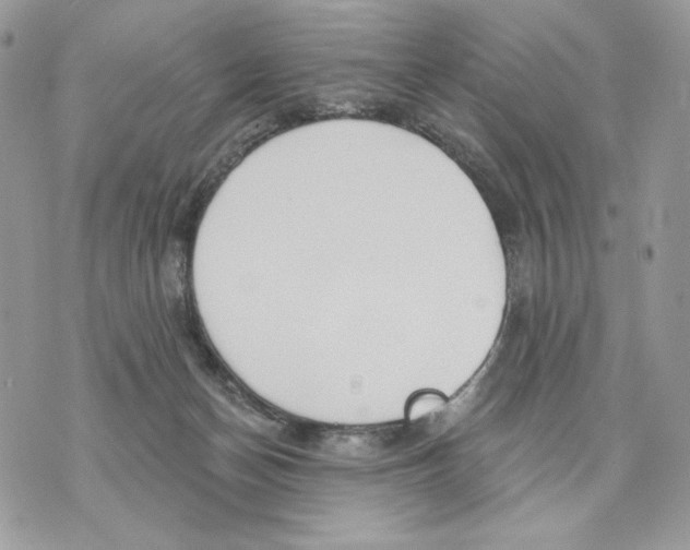 X0000070360174200607072112