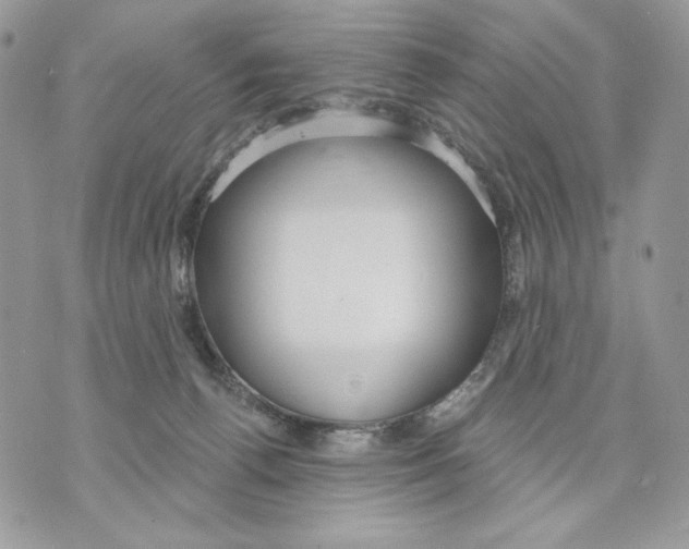 X0000070360176200607072112