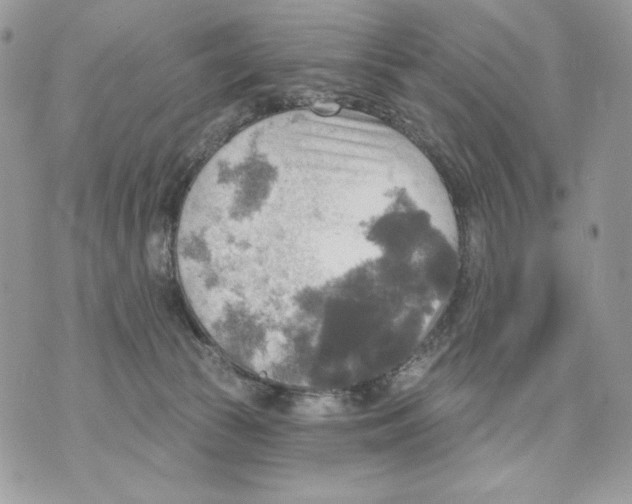 X0000070360177200607072112