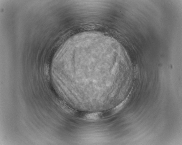 X0000070360178200607072112