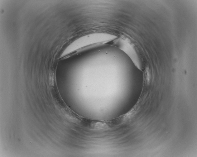 X0000070360180200607072112