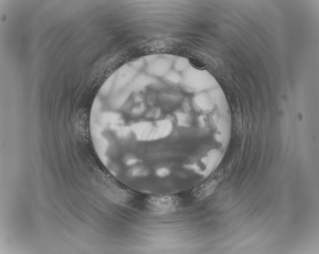 X0000070360181200607072112