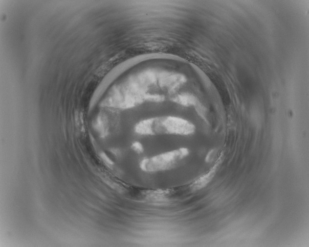 X0000070360182200607072112