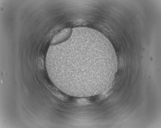 X0000070360183200607072112