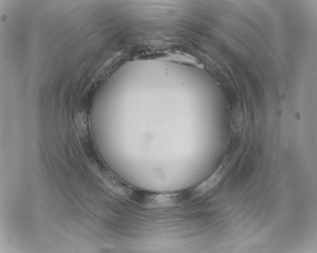 X0000070360184200607072112