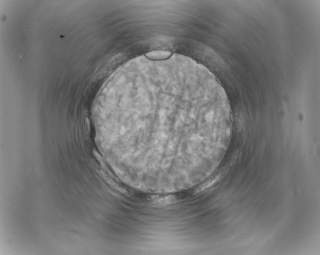 X0000070360185200607072112