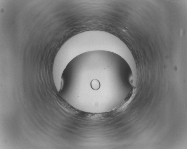 X0000070360186200607072112