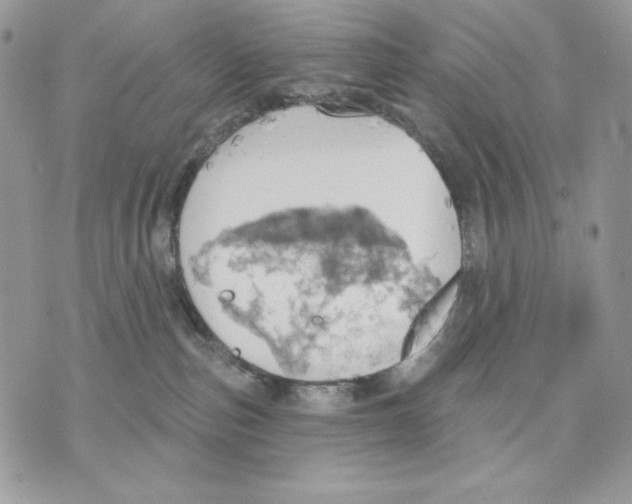 X0000070360187200607072112