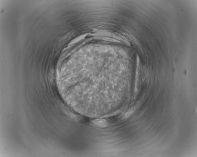 X0000070360189200607072112