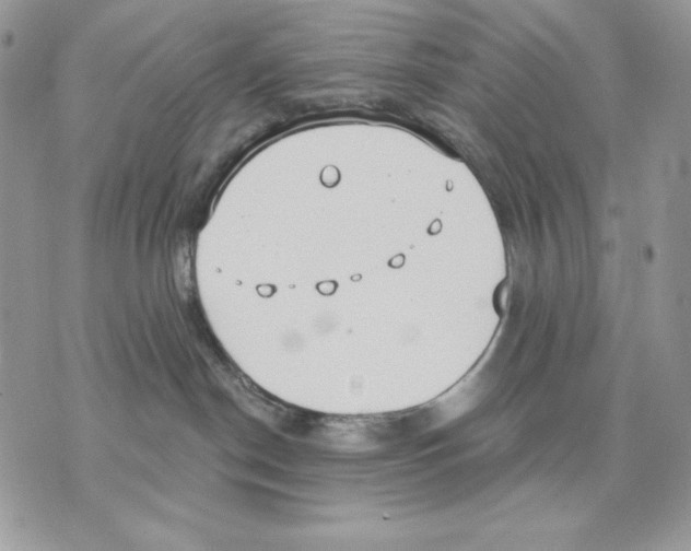 X0000070360190200607072112