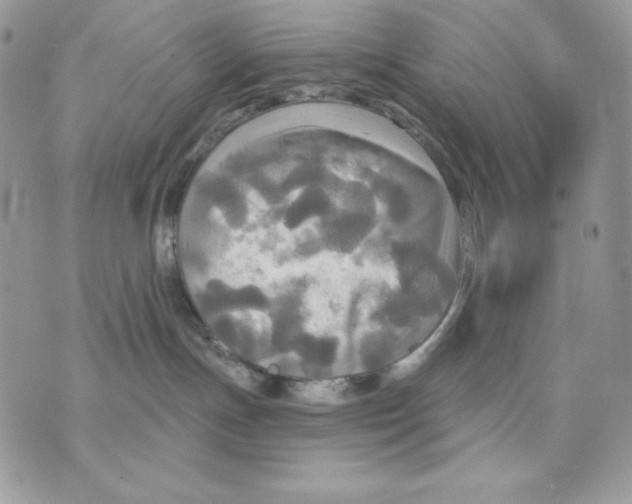 X0000070360191200607072112