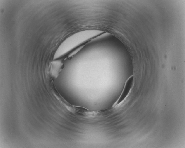 X0000070360192200607072112