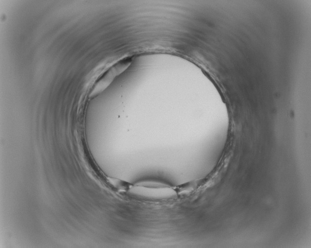 X0000070360193200607072112