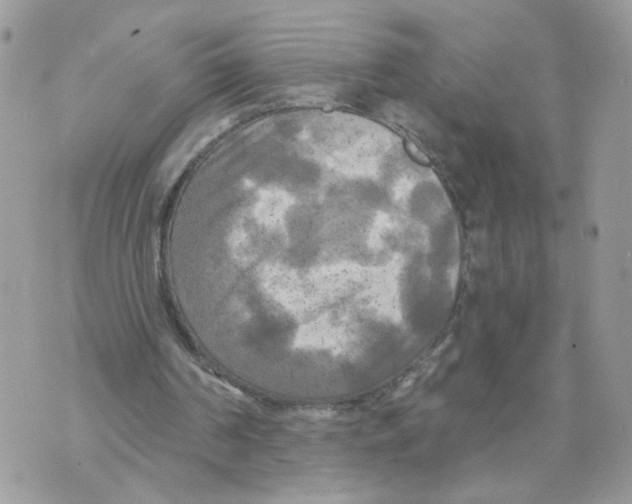 X0000070360194200607072112