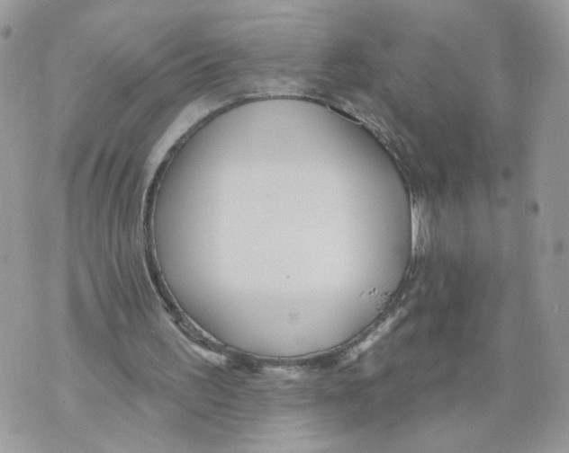 X0000070360195200607072112