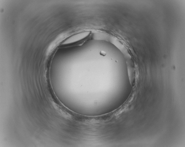 X0000070360197200607072112