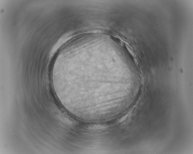 X0000070360198200607072112