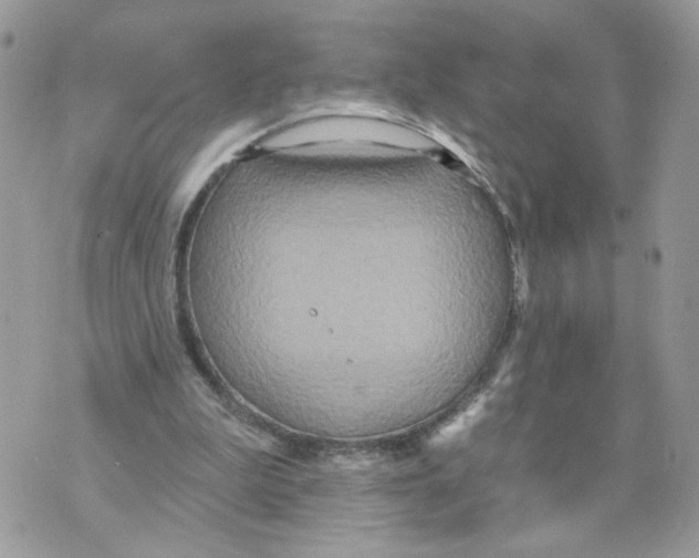 X0000070360199200607072112