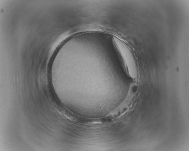 X0000070360200200607072112