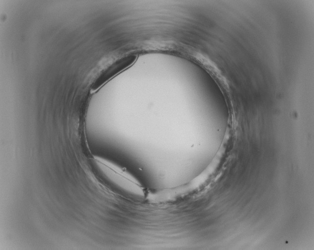 X0000070360201200607072112