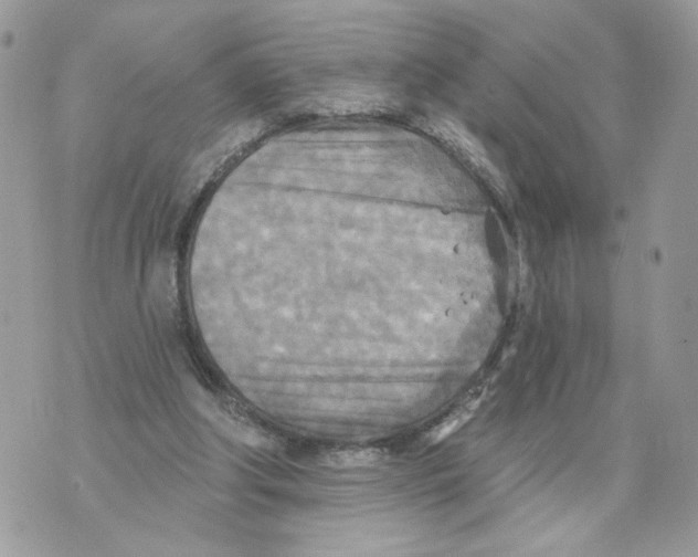 X0000070360202200607072111