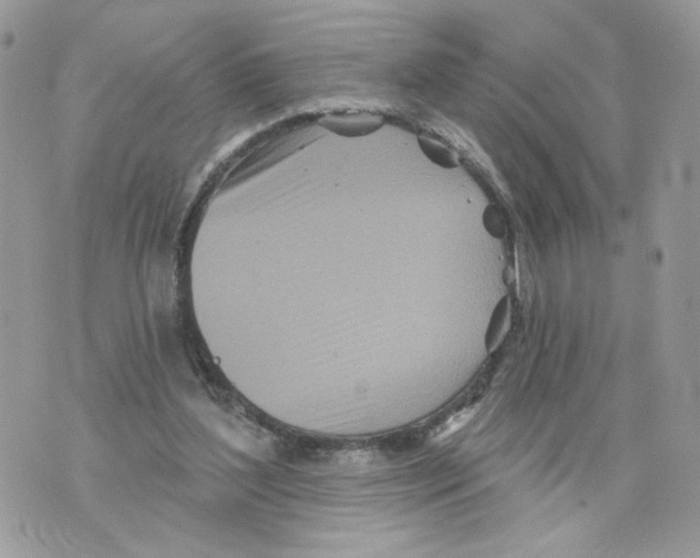 X0000070360204200607072111