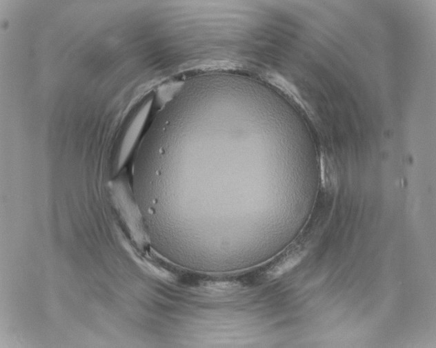 X0000070360205200607072111