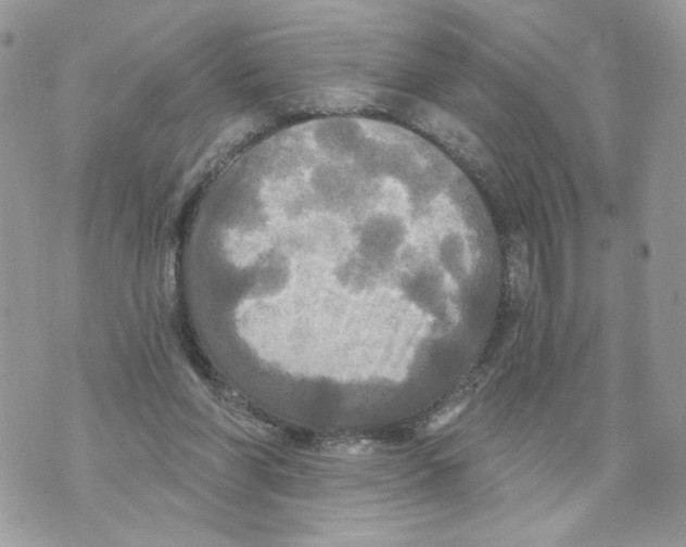 X0000070360206200607072111