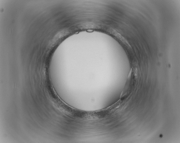 X0000070360207200607072111