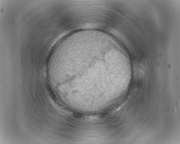 X0000070360208200607072111