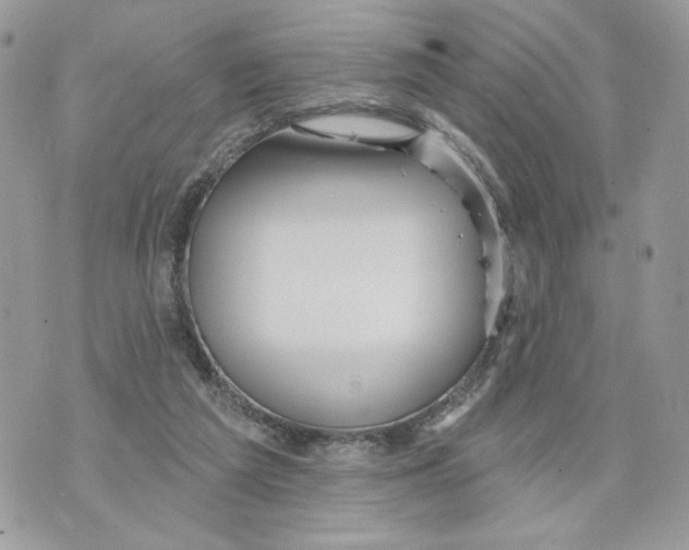 X0000070360209200607072111