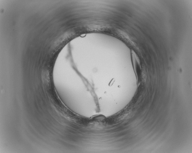 X0000070360211200607072111