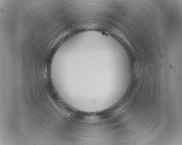 X0000070360212200607072111