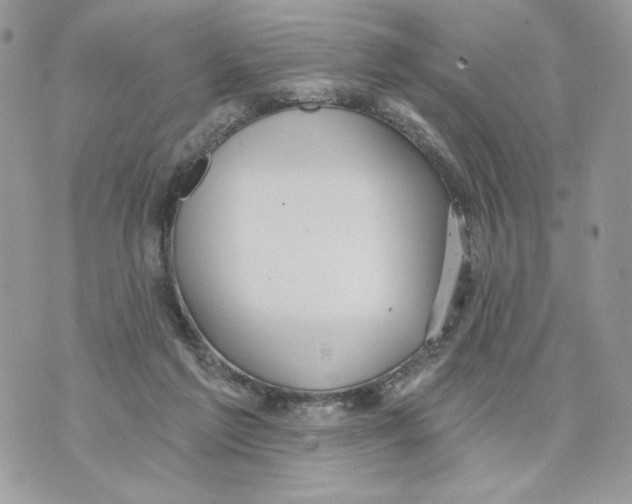 X0000070360213200607072111