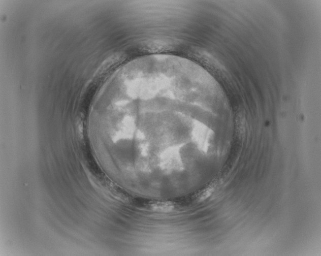 X0000070360214200607072111