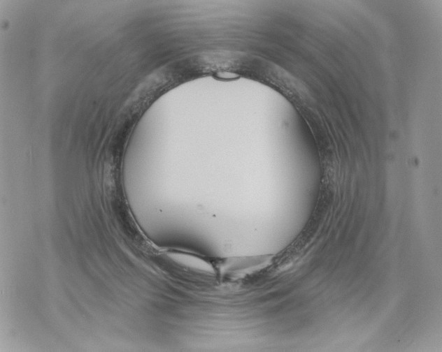 X0000070360215200607072111