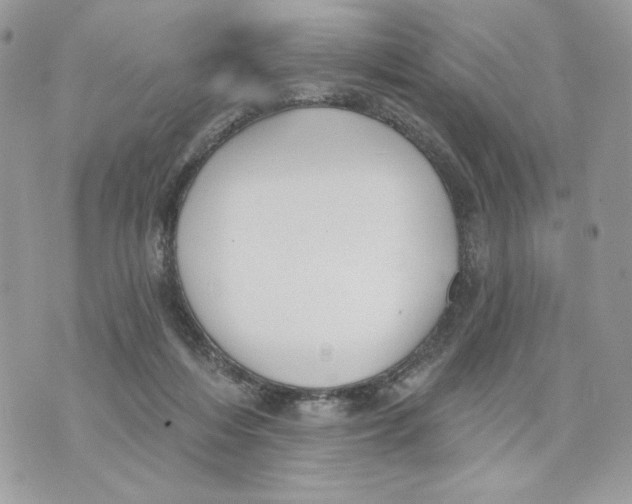 X0000070360216200607072111