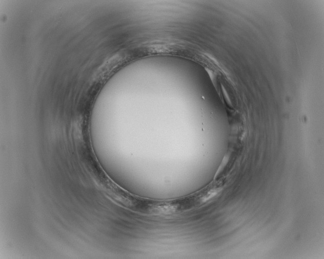 X0000070360217200607072111