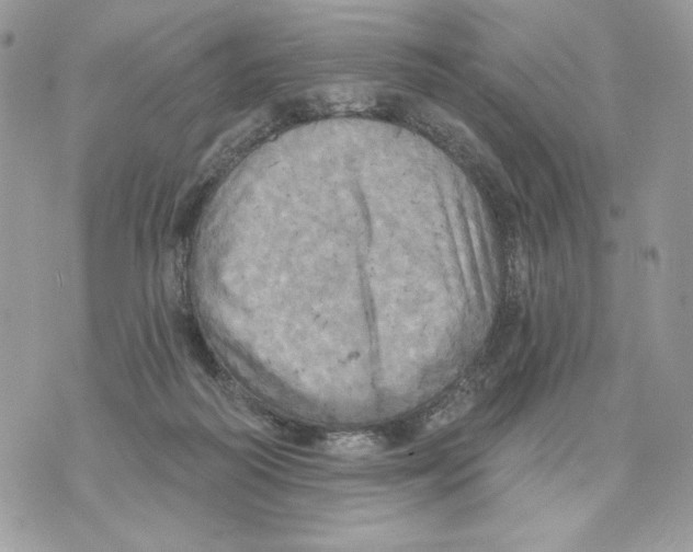 X0000070360218200607072111