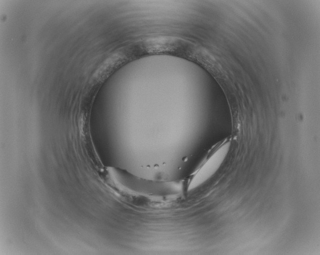 X0000070360219200607072111