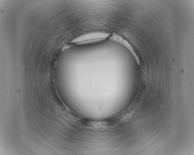 X0000070360221200607072111