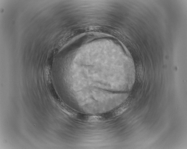 X0000070360222200607072111