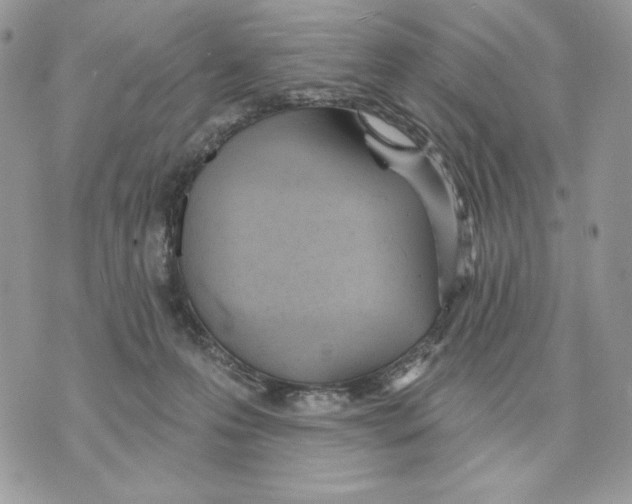 X0000070360223200607072111