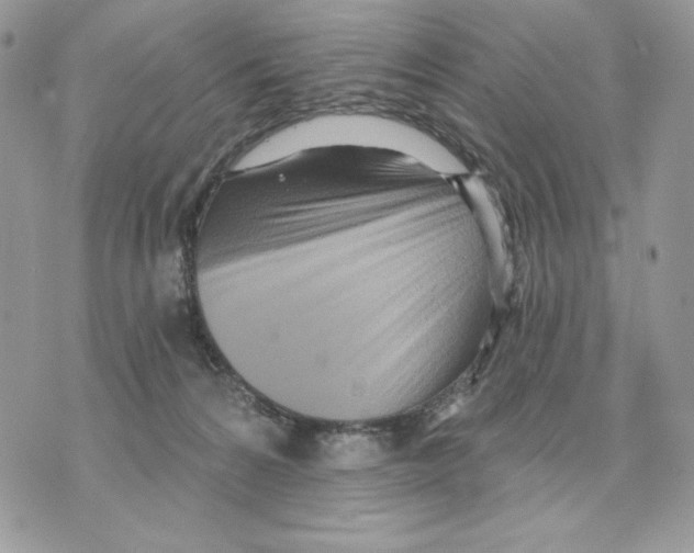 X0000070360224200607072111