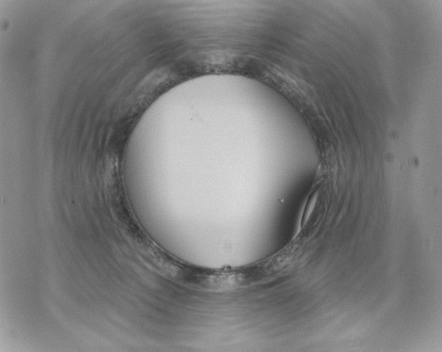 X0000070360225200607072111