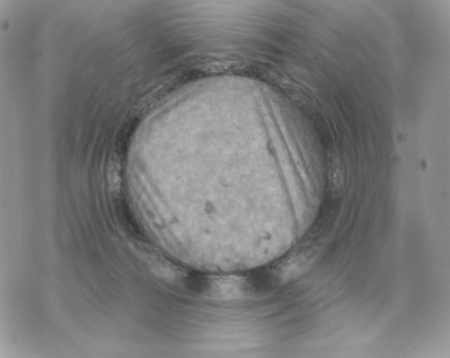 X0000070360226200607072111