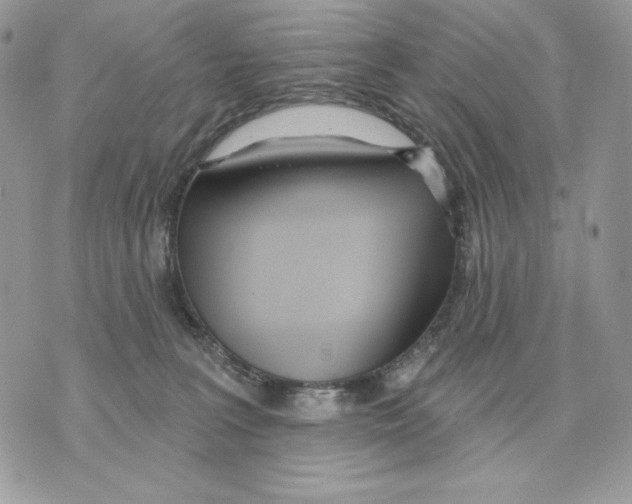 X0000070360227200607072111